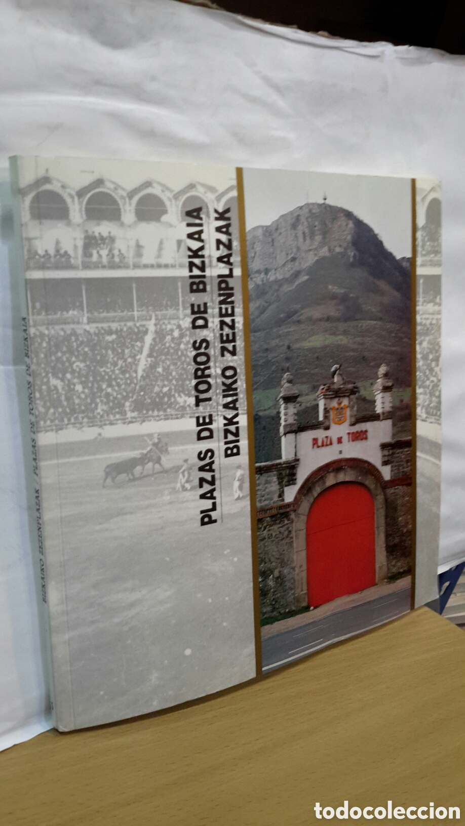 Libros de segunda mano: Plazas de toro de Bizkaia (Bizkaiko Zezenplazak)