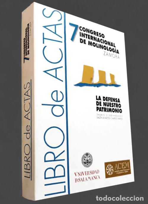 Libros de segunda mano: MOLINOS. MOLINOLOGIA. HISTORIA. CARACTERISTICAS. RESTAURACION. TECNICAS. ETNOGRAFIA.