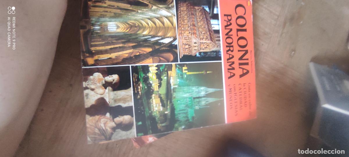 Libros de segunda mano: Colonia. Panorama. Gu&iacute;a
