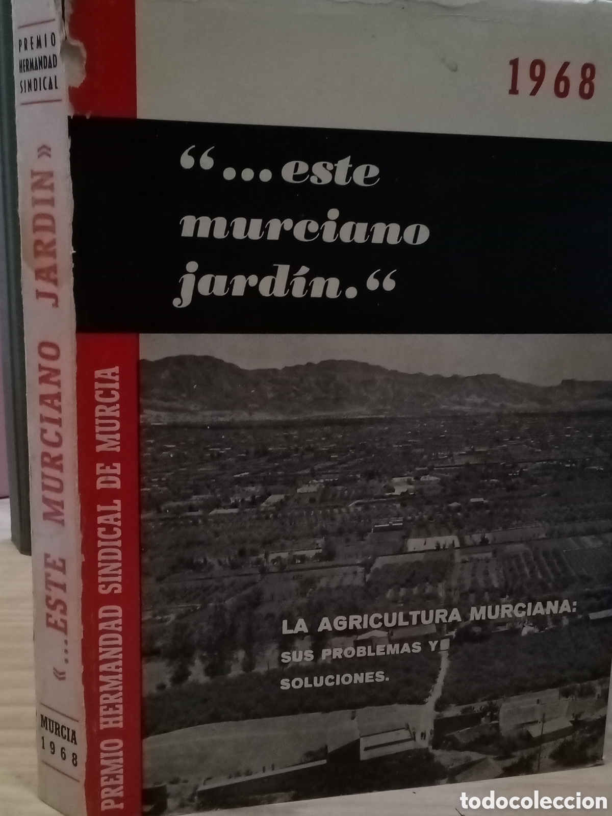 Libros de segunda mano: Este murciano jard&iacute;n . Premio Hermandad Sindical de Murcia