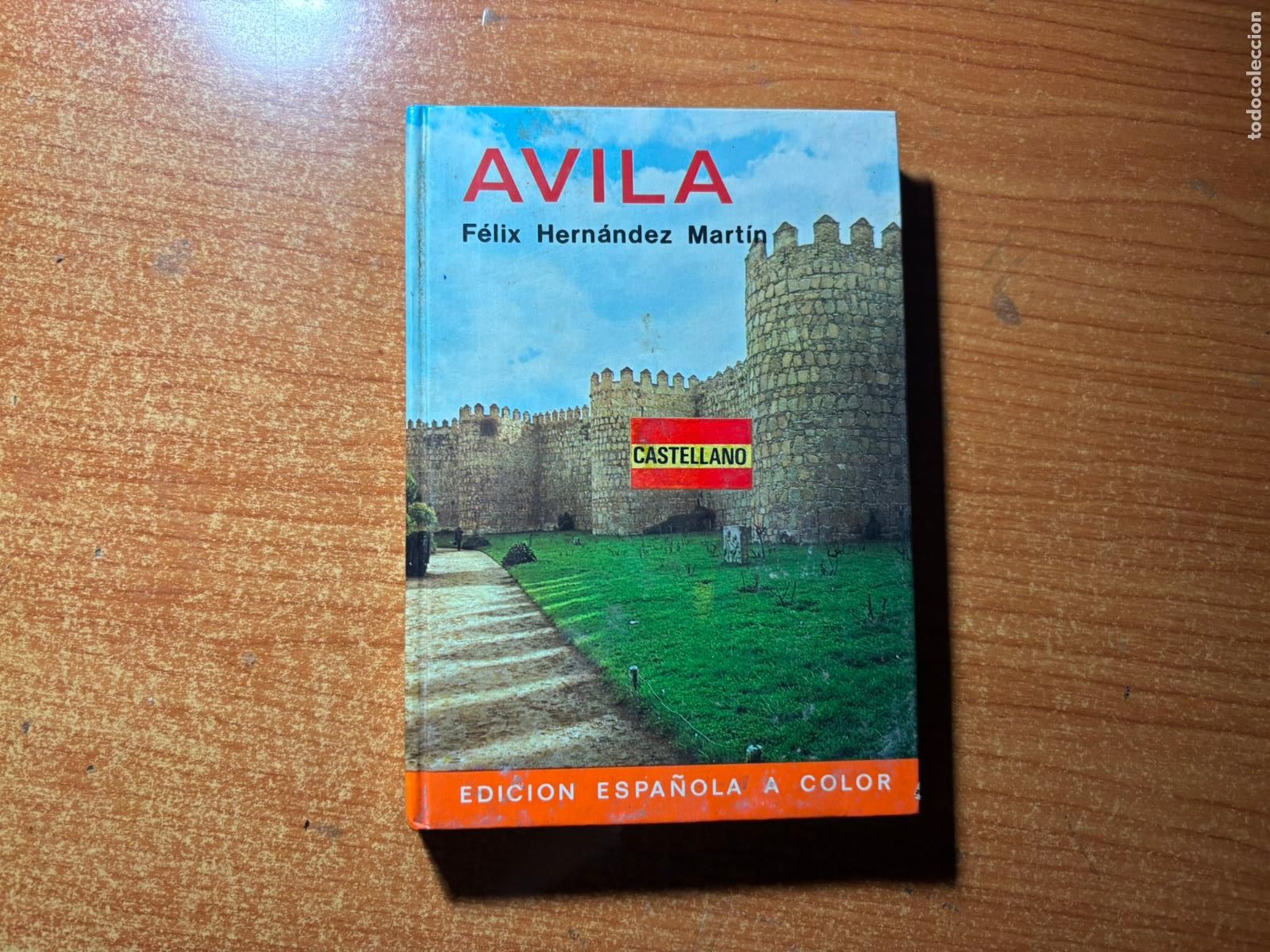 Libros de segunda mano: GUIA AVILA FELIX HERNANDEZ MARTIN EDITORIAL EVEREST. 1981