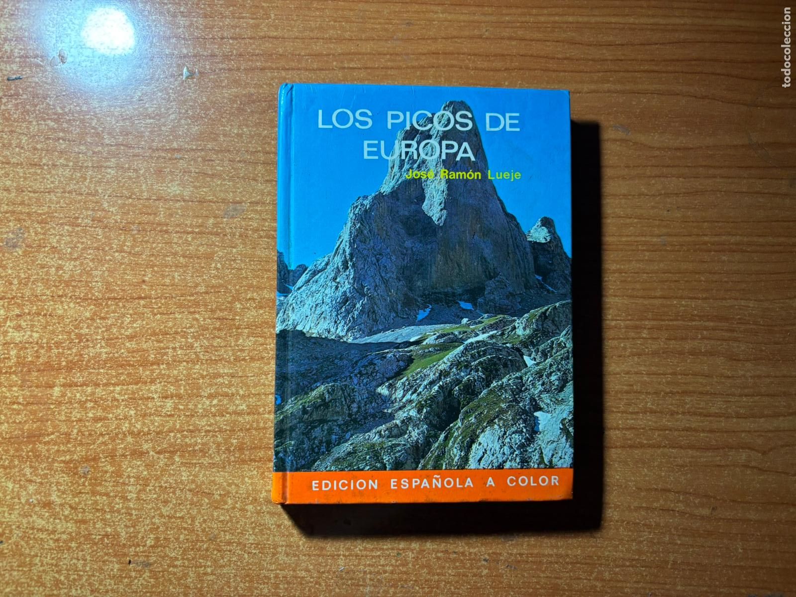 Libros de segunda mano: GUIA LOS PICOS DE EUROPA JOSE RAMON LUEJE EDITORIAL EVEREST