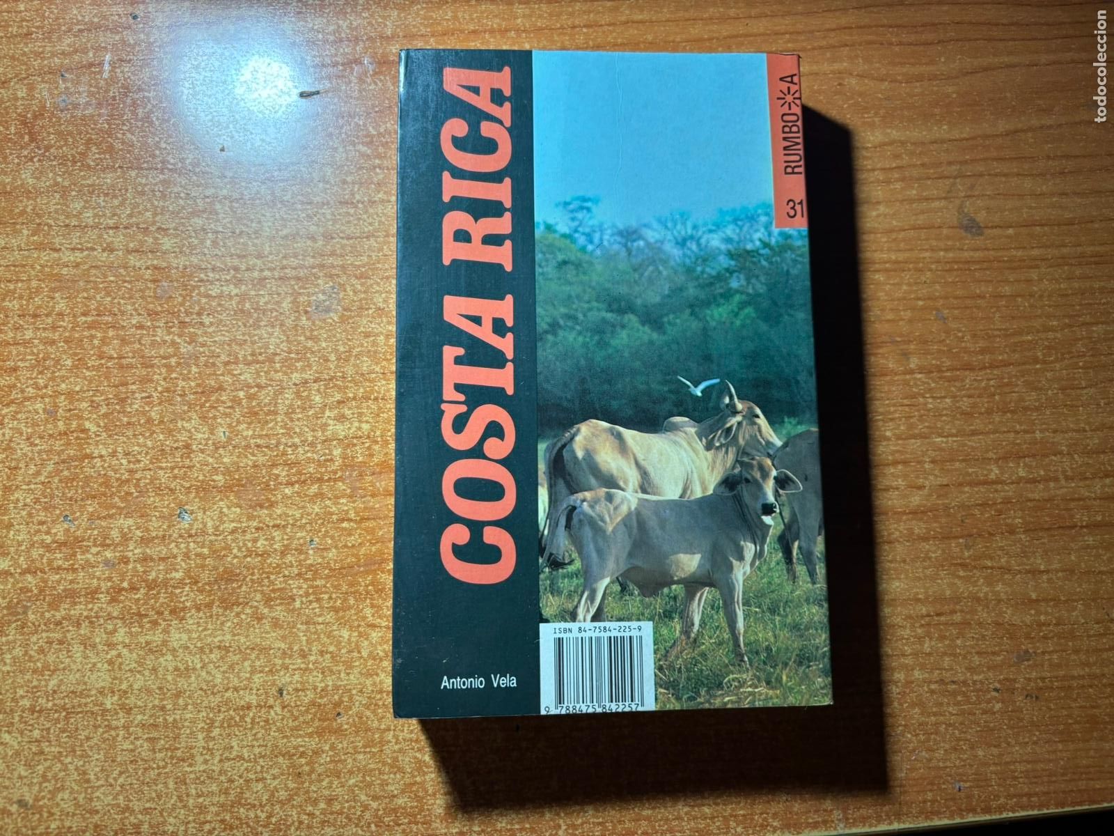 Libros de segunda mano: RUMBO A N&ordm; 31 COSTA RICA EDITORIAL LAERTES GUIA TURISTICA