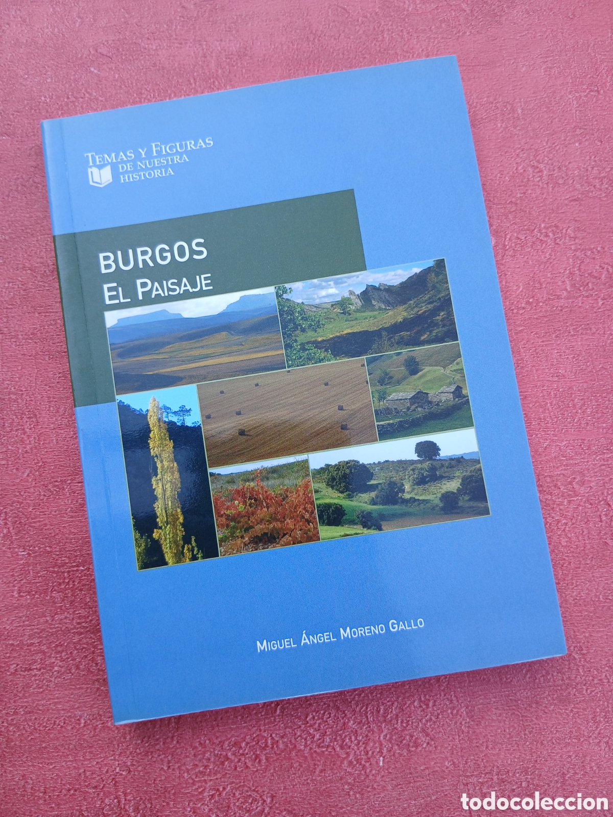 Libros de segunda mano: Burgos, el paisaje. Miguel &Aacute;ngel Moreno Gallo.