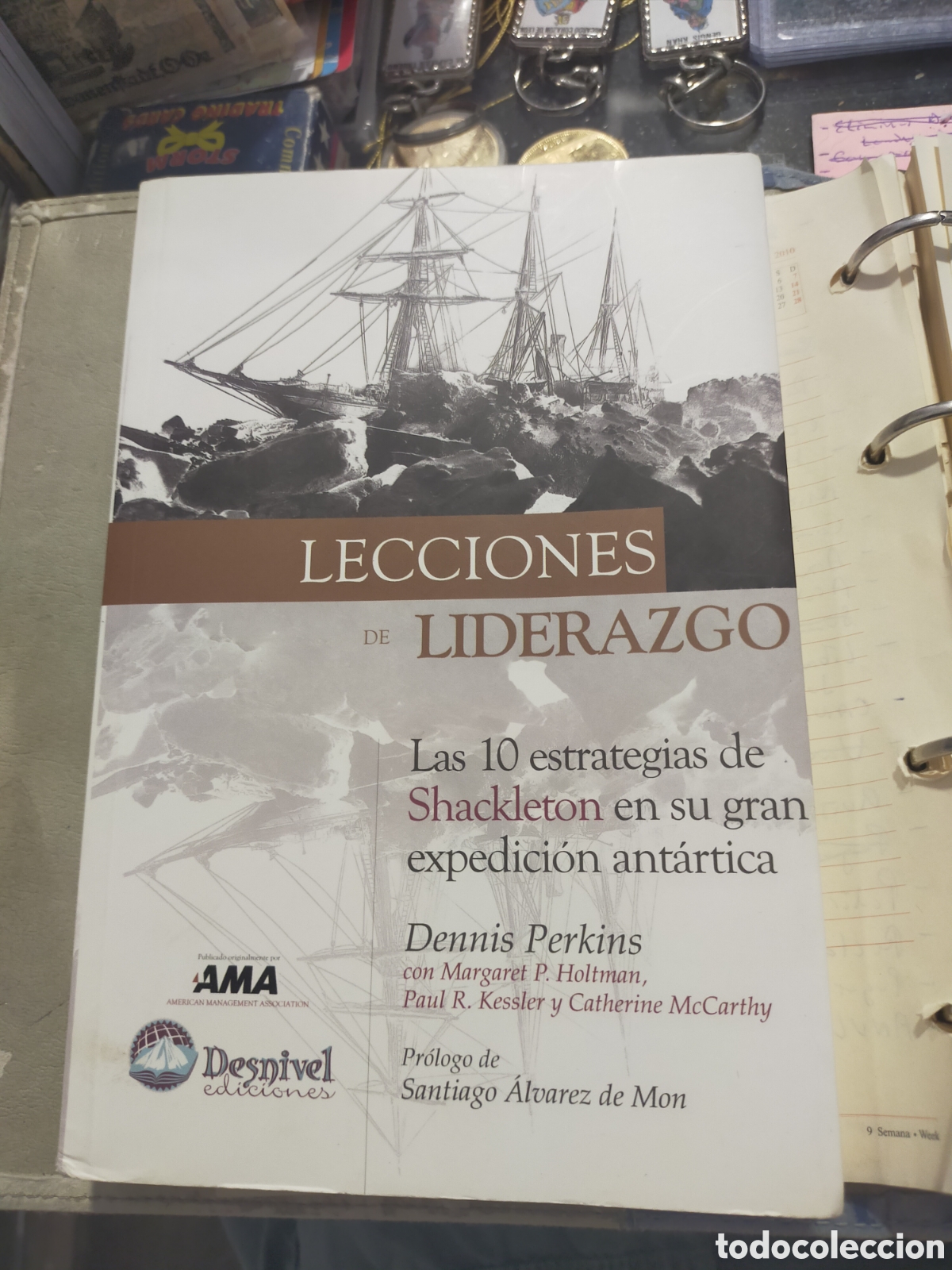 Libros de segunda mano: LECCIONES DE LIDERAZGO LAS 10 ESTRATEGIAS DE SHACKLETON DENNIS PERKINS DESNIVEL