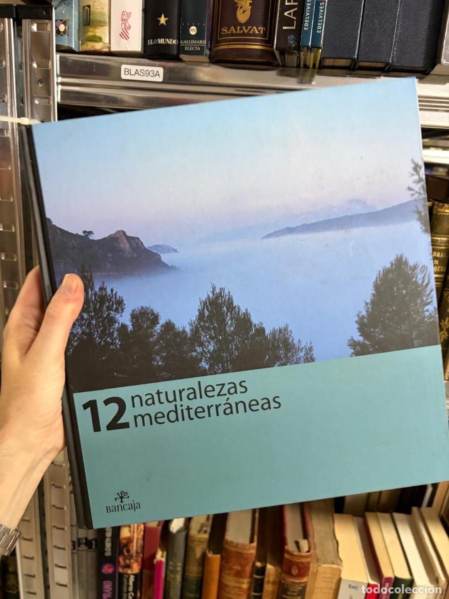 Libros de segunda mano: BLAS93A 12 naturalezas mediterr&aacute;neas. Bancaja.
