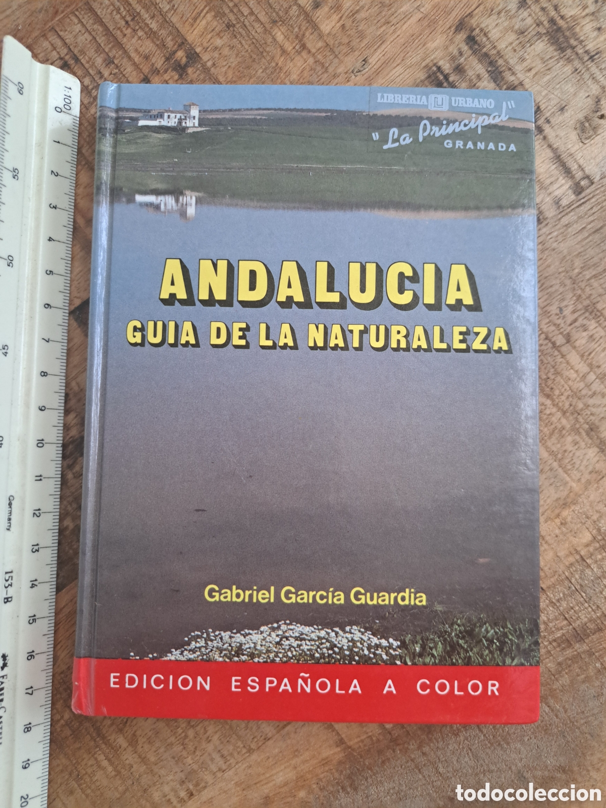 Libros de segunda mano: Jml Andalucia guia de la naturaleza, Gabriel Garcia Guardia, Guias Everest, 1989. Tapa dura