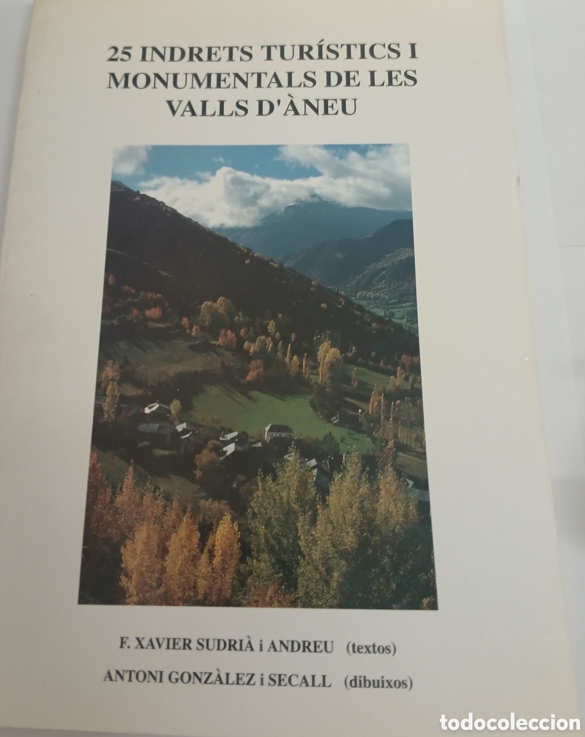 Libros de segunda mano: 25 INDRETS TUR&Iacute;STICS I MONUMENTALS DE LES VALLS D'&Agrave;NEU