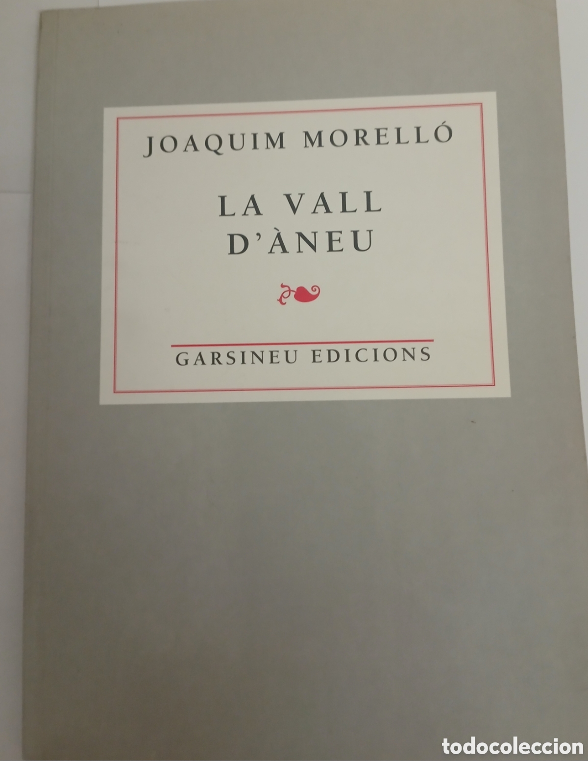 Libros de segunda mano: LA VALL D'&Agrave;NEU JOAQUIM MORELL&Oacute;