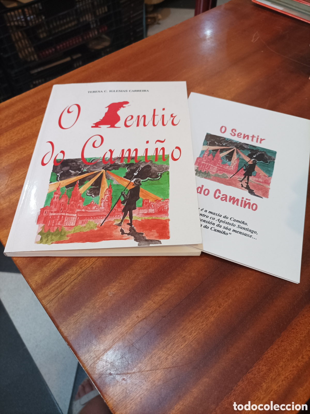 Libros de segunda mano: O SENTIR DO CAMI&Ntilde;O.. FIRMADO POR LA AUTORA.TERESA C.IGLESIAS CARREIRA