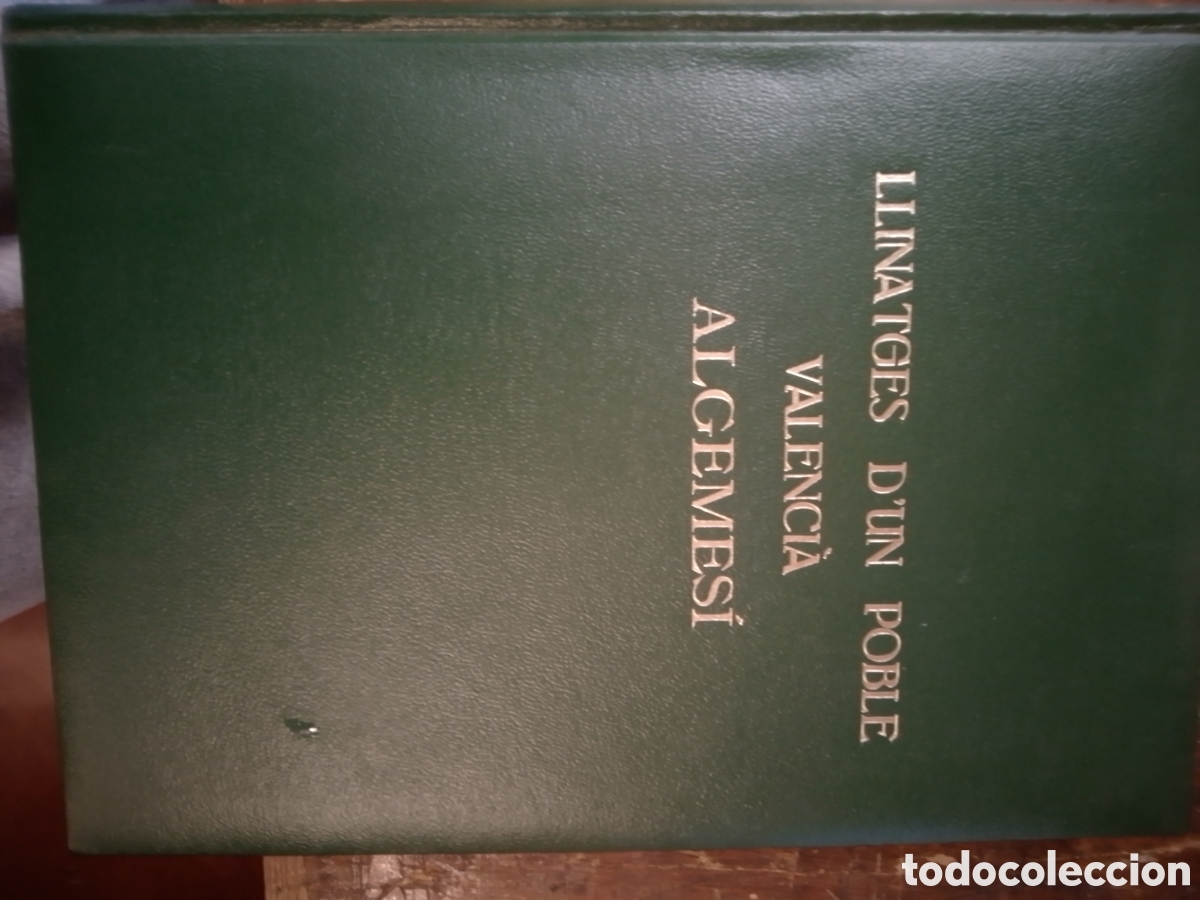 Libros de segunda mano: LLINATGES D'UN POBLE VALENCIA. ALGEMESI. VOL III. SEGURA DE LAGO, JOAN. ALFONS EL MAGNANIM. 1975