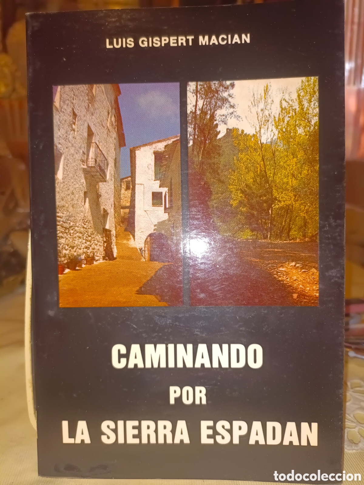 Libros de segunda mano: Caminando por la Sierra Espadan