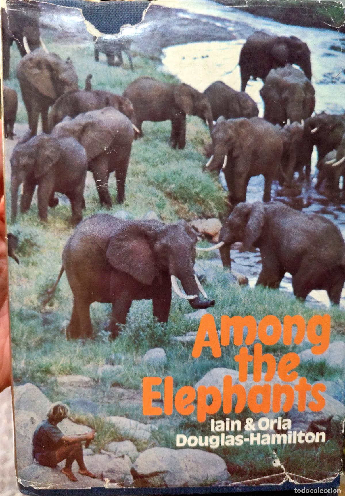 Libros de segunda mano: AMONG THE ELEPHANTS. IAIN & ORIA DOUGLAS-HAMILTON. &Aacute;FRICA. ELEFANTES. Texto en ingl&eacute;s.