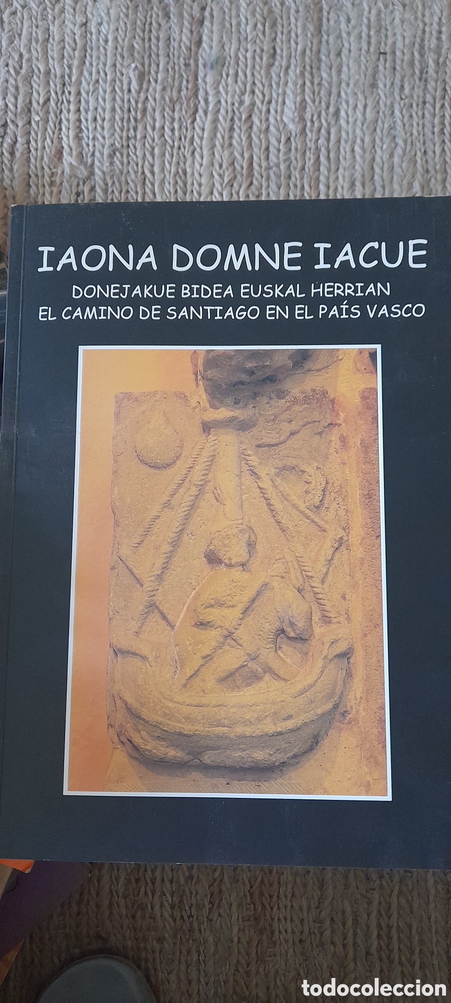 Libros de segunda mano: El camino de Santiago en el Pa&iacute;s Vasco. Ioana Bomne Iacue