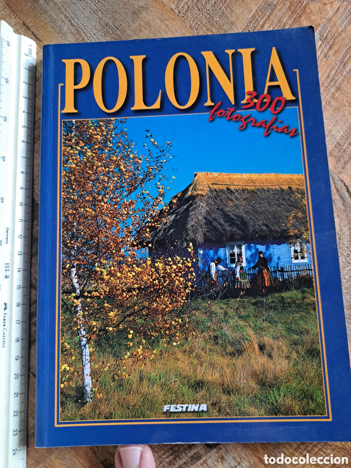 Libros de segunda mano: Jml Guia turistica Polonia, 300 fotografias, Festina, 128 paginas. Varsovia 2003.