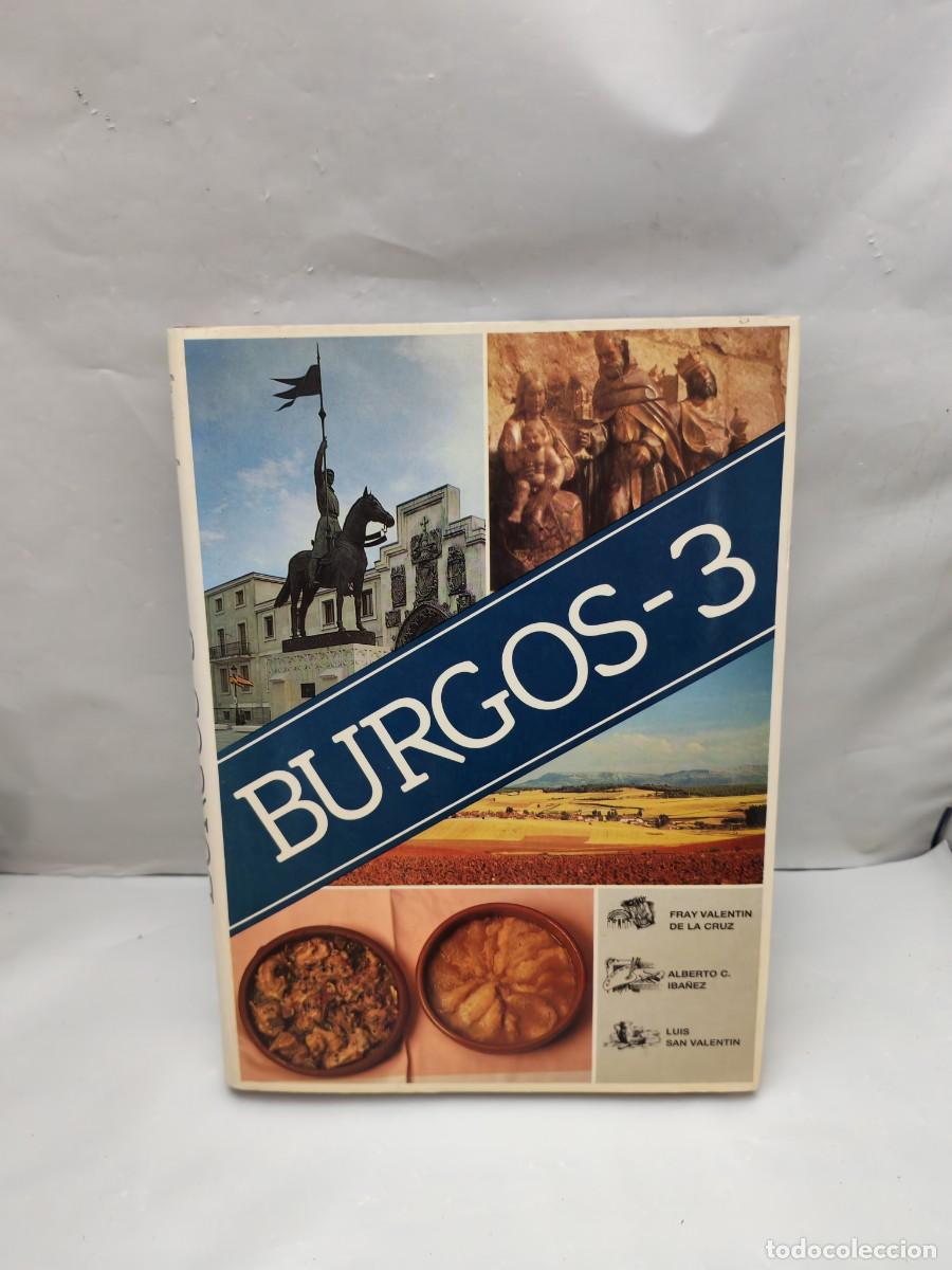 Libros de segunda mano: Burgos-3: Viaje por la provincia de Burgos tras el conocimiento y disfrute de su paisaje