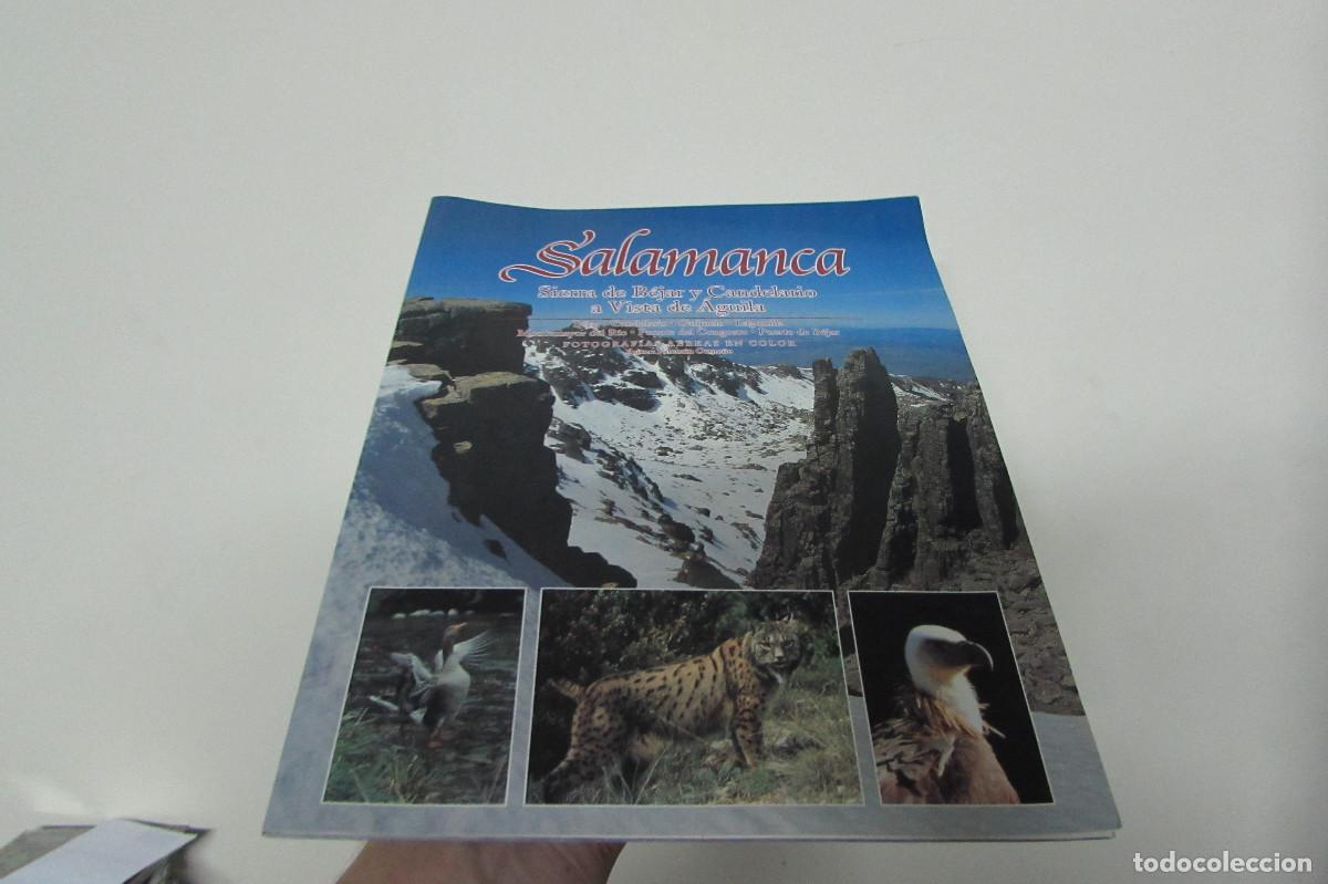 Libros de segunda mano: Salamanca. Sierra de B&eacute;jar y Candelario a vista de &aacute;guila - Orme&ntilde;o, Valent&iacute;n