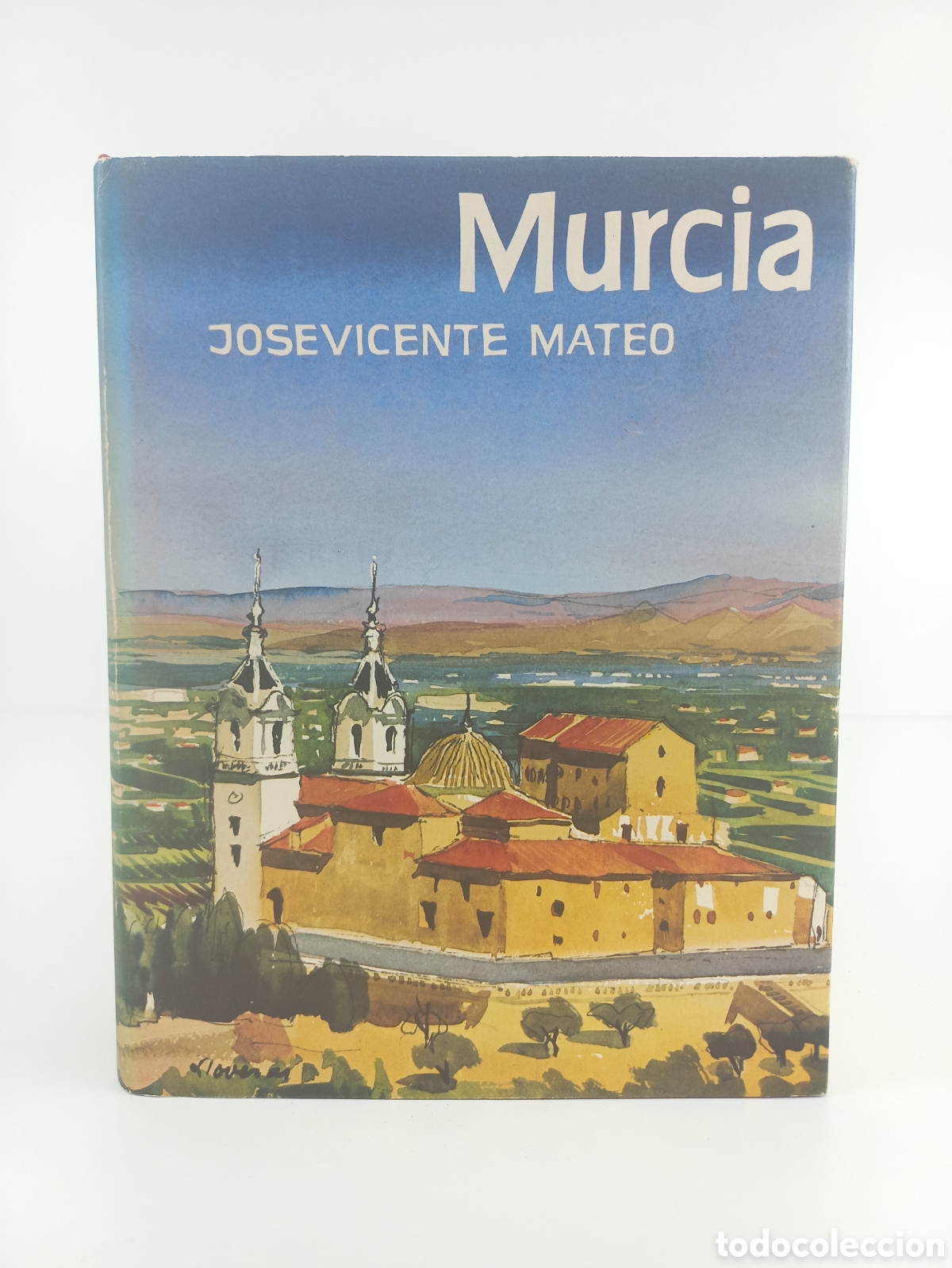 Libros de segunda mano: Murcia. Jos&eacute; Vicente Mateo. Destino