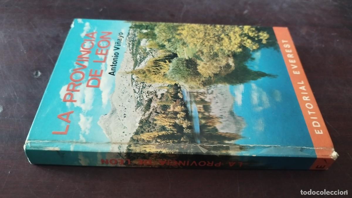 Libros de segunda mano: LA PROVINCIA DE LEON / ANTONIO VI&Ntilde;AYO / PU-NVR-3 / EVEREST