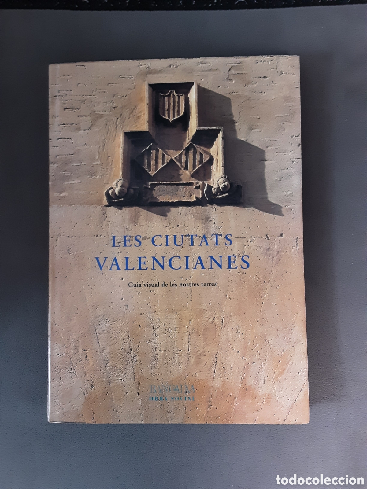 Libros de segunda mano: LES CIUTATS VALENCIANES GUIA VISUAL DE LES NOSTRES TERRES 1998 OBRA SOCIAL BANCAJA EN VALENCIANO
