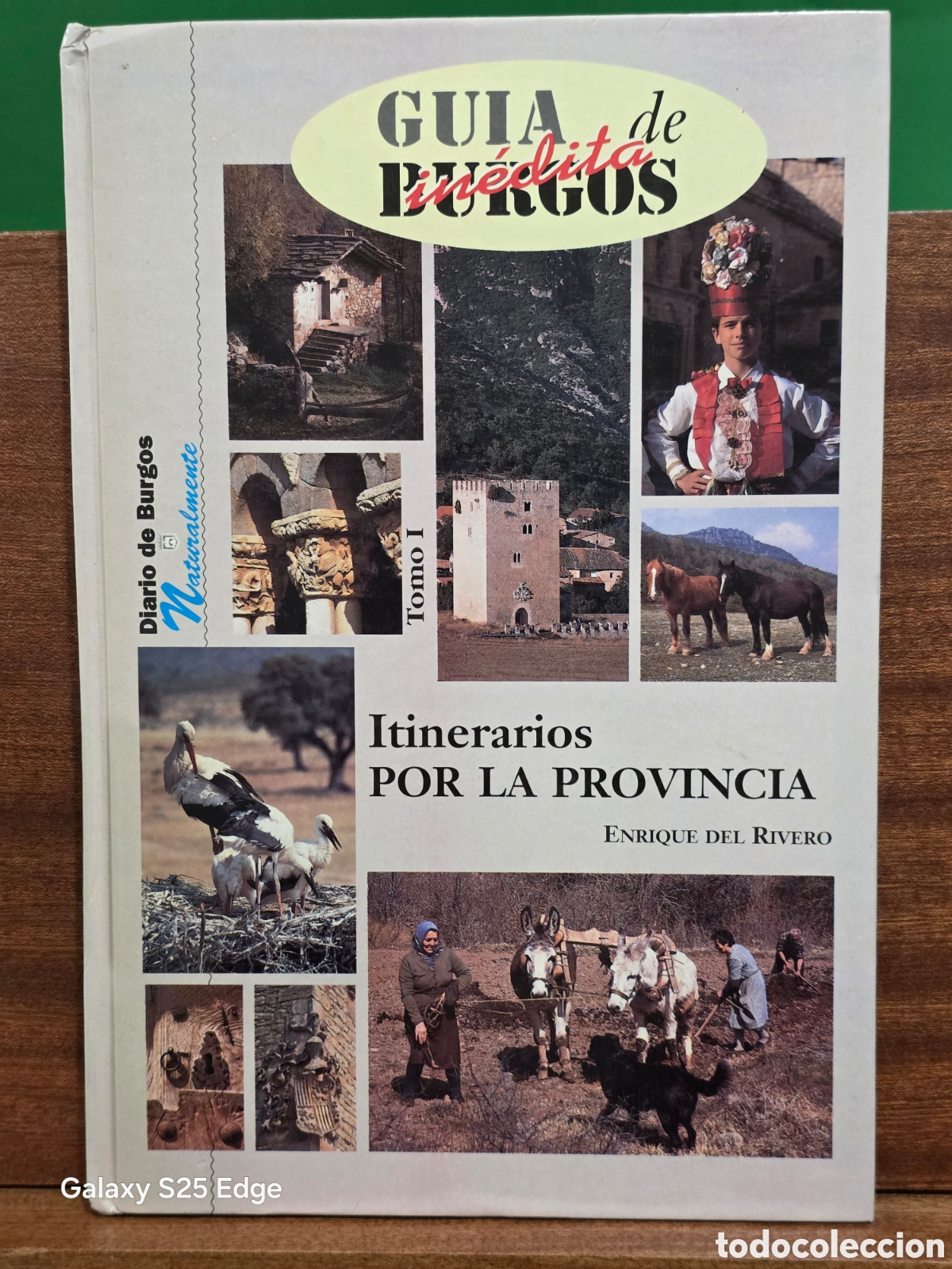 Libros de segunda mano: &rdquo;&rdquo;GU&Iacute;A IN&Eacute;DITA DE BURGOS&rdquo;&rdquo;...ITINERARIOS POR LA PROVINCIA...TOMO I...ENRIQUE DEL RIVERO...1993...