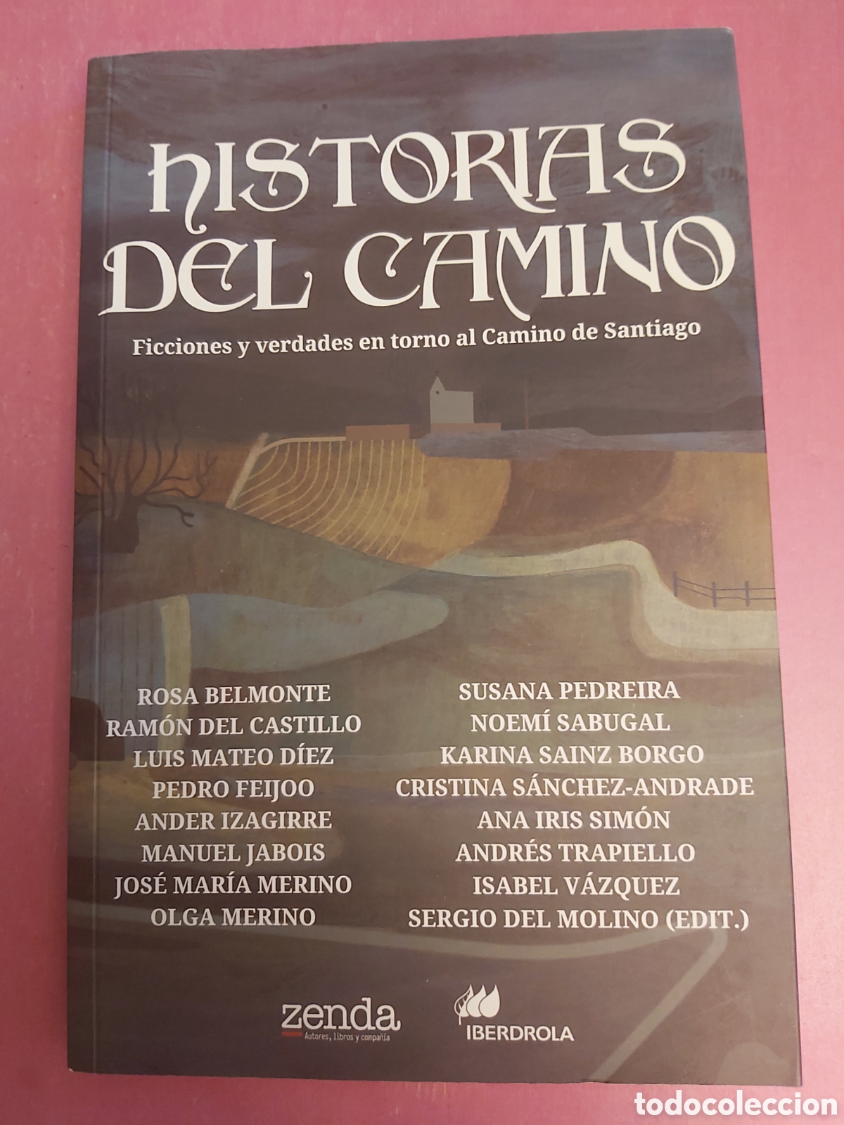 Libros de segunda mano: HISTORIAS DEL CAMINO FICCIONES Y VERDADES EN TORNO AL CAMINO DE SANTIAGO VVAA ZENDA PRIMERA EDICI&Oacute;N