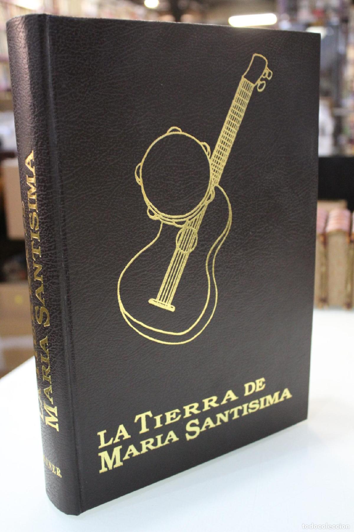 Libros de segunda mano: La tierra de Mar&iacute;a Sant&iacute;sima. Colecci&oacute;n de cuadros andaluces por Benito Mas y Prat. Edici&oacute;n facsimil