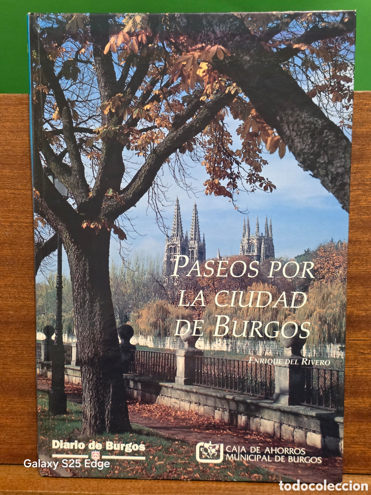 Libros de segunda mano: &rdquo;&rdquo;PASEOS POR LA CIUDAD DE BURGOS&rdquo;&rdquo;...ENRIQUE DEL RIVERO...1994...