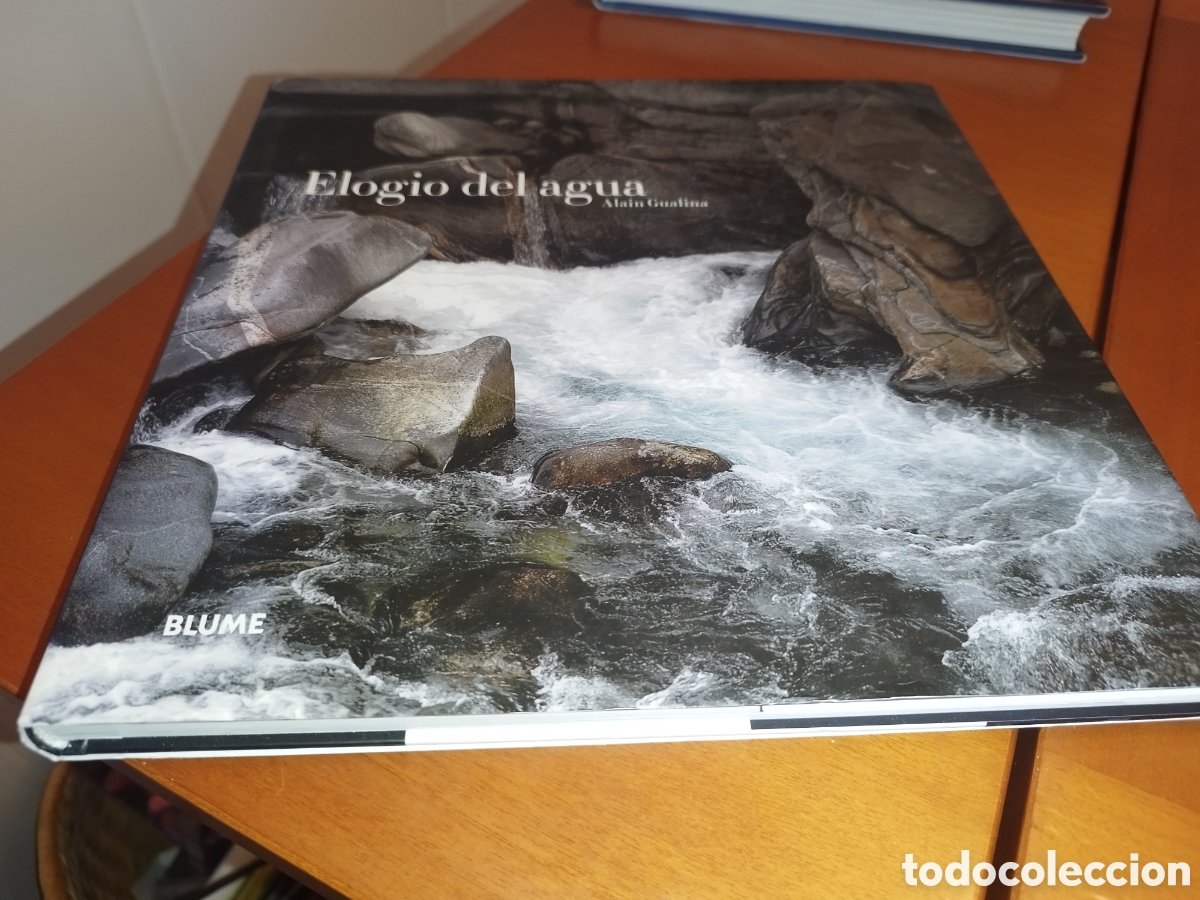 Libros de segunda mano: ELOGIO DEL AGUA.- ALAIN GUALINA. ED. BLUME, 2008 PRIMERA EDICION. MUY ILUSTRADO.