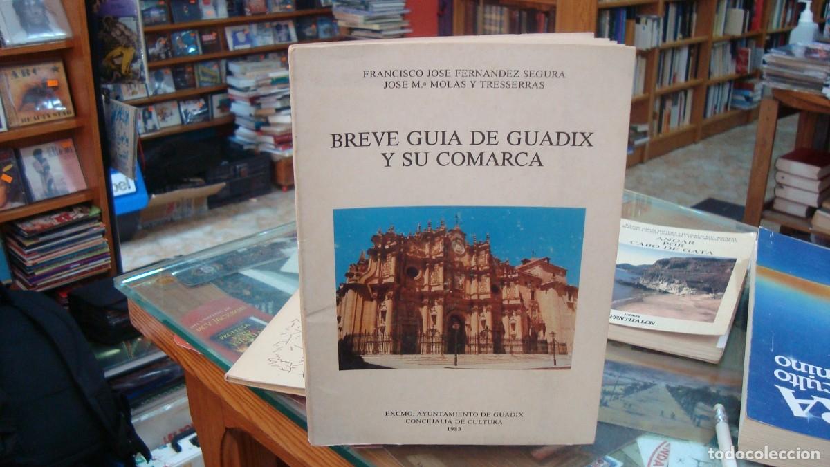 Libros de segunda mano: Breve gu&iacute;a de Guadix y su Comarca