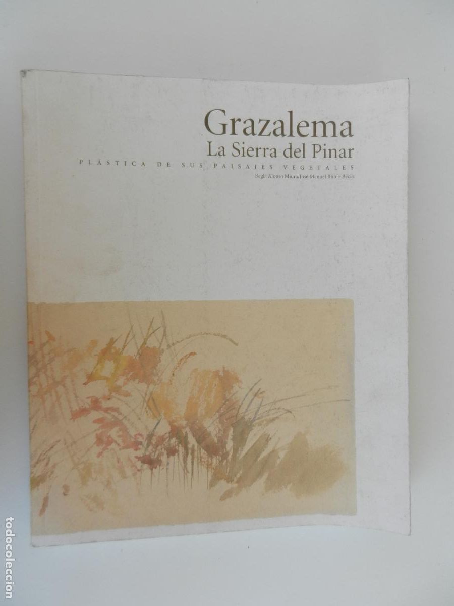 Libros de segunda mano: GRAZALEMA , LA SIERRA DEL PINAR -PL&Aacute;STICA DE SUS PAISAJES VEGETALES . RECLA ALONSO - M. RUBIO -1994