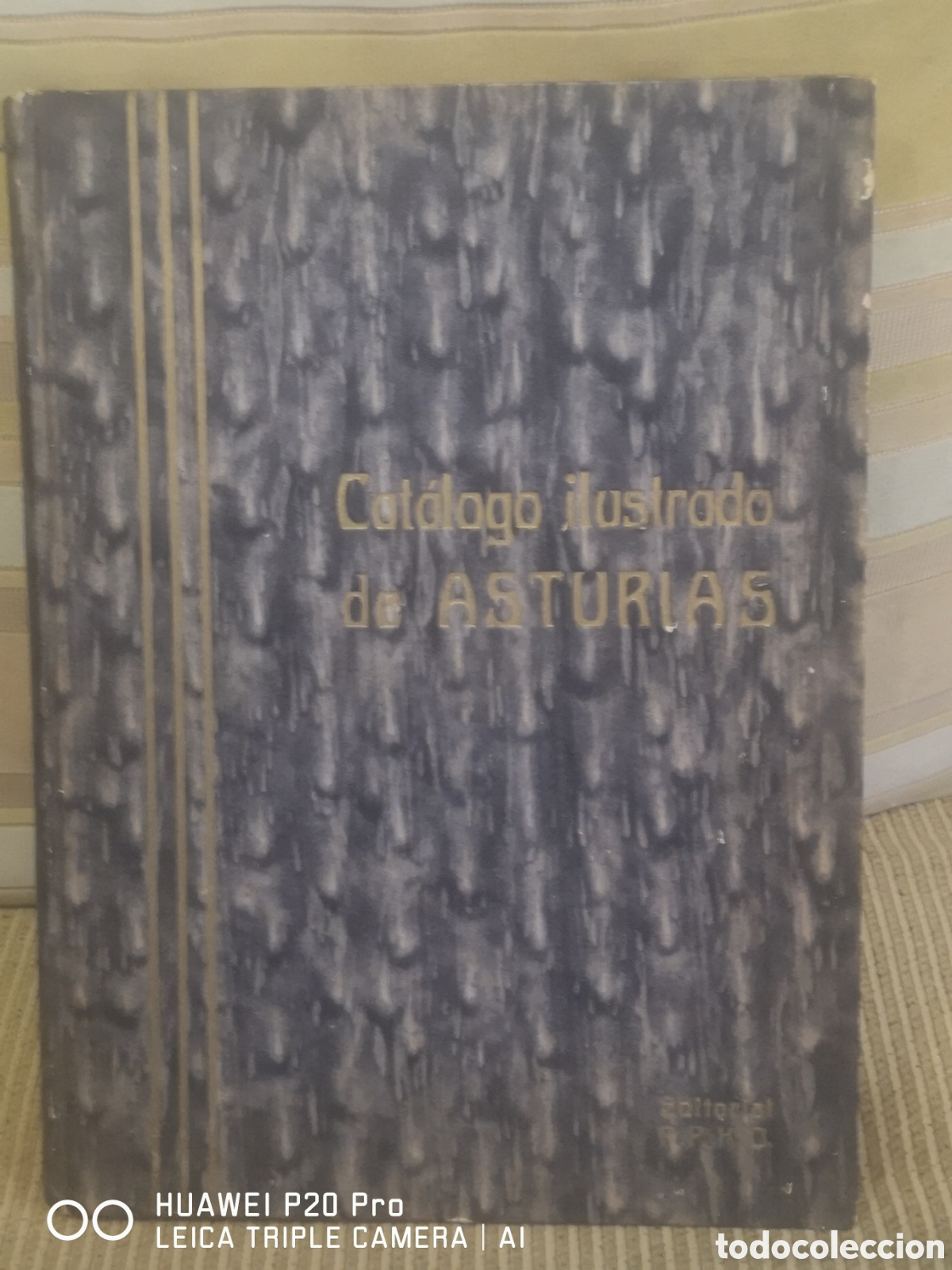 Libri di seconda mano: CATALOGO ILUSTRADO DE ASTURIAS - CAO MOURE . JOS&Eacute;