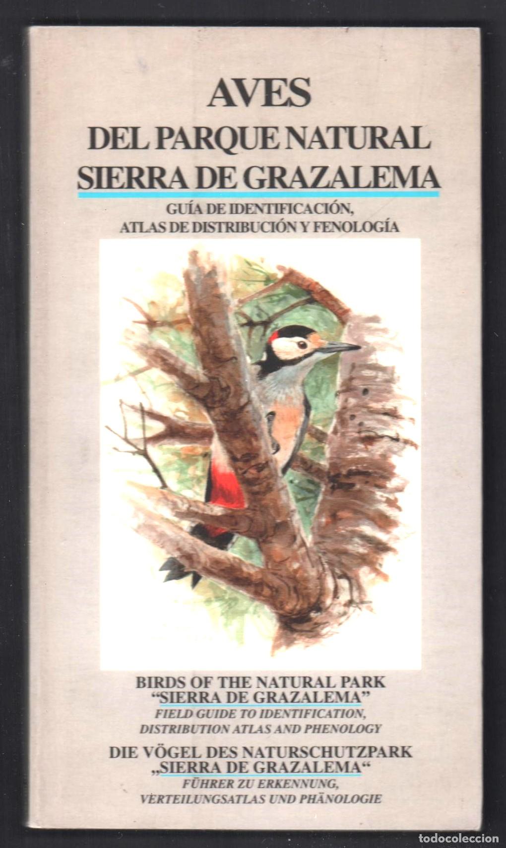 Libros de segunda mano: AVES DEL PARQUE NATURAL SIERRA DE GRAZALEMA ED CEDER SIERRA C&Aacute;DIZ 1999 1&ordf; EDICI&Oacute;N ISBN 84-605-8534-4