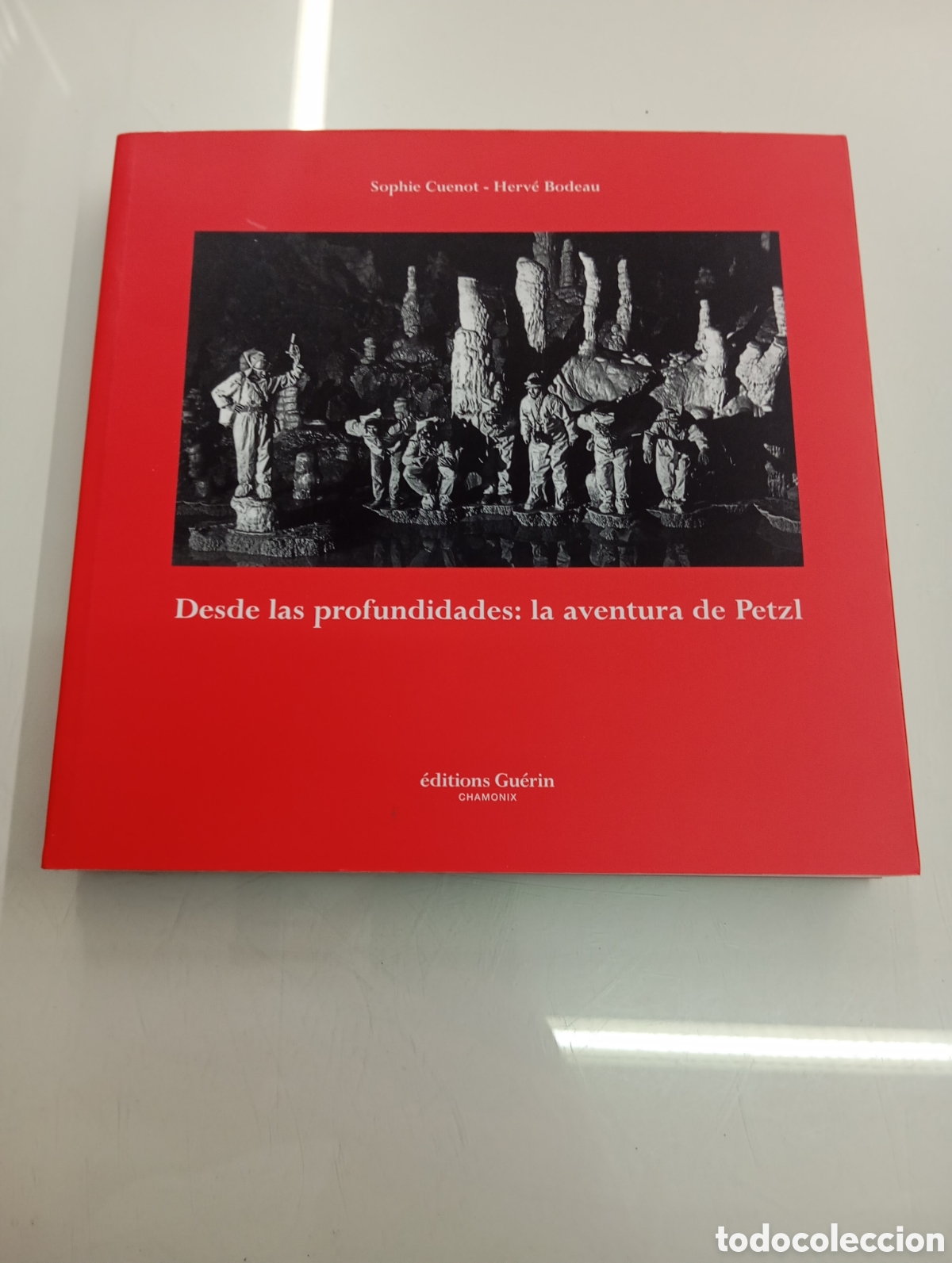 Libros de segunda mano: DESDE LAS PROFUNDIDADES LA AVENTURA DE PETZL GUERIN HISTORIA FABRICANTE ESCALADA MONTA&Ntilde;A VERTICAL