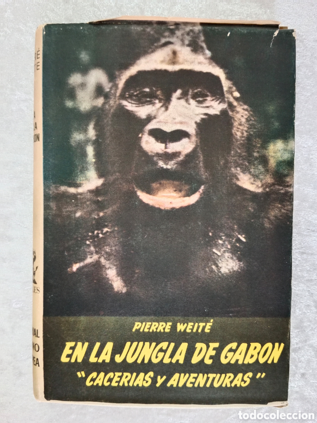 Libros de segunda mano: EN LA JUNGLA DE GAB&Oacute;N, PIERRE WEIT&Eacute; , PRIMERA EDICI&Oacute;N, 1956, BUEN ESTADO