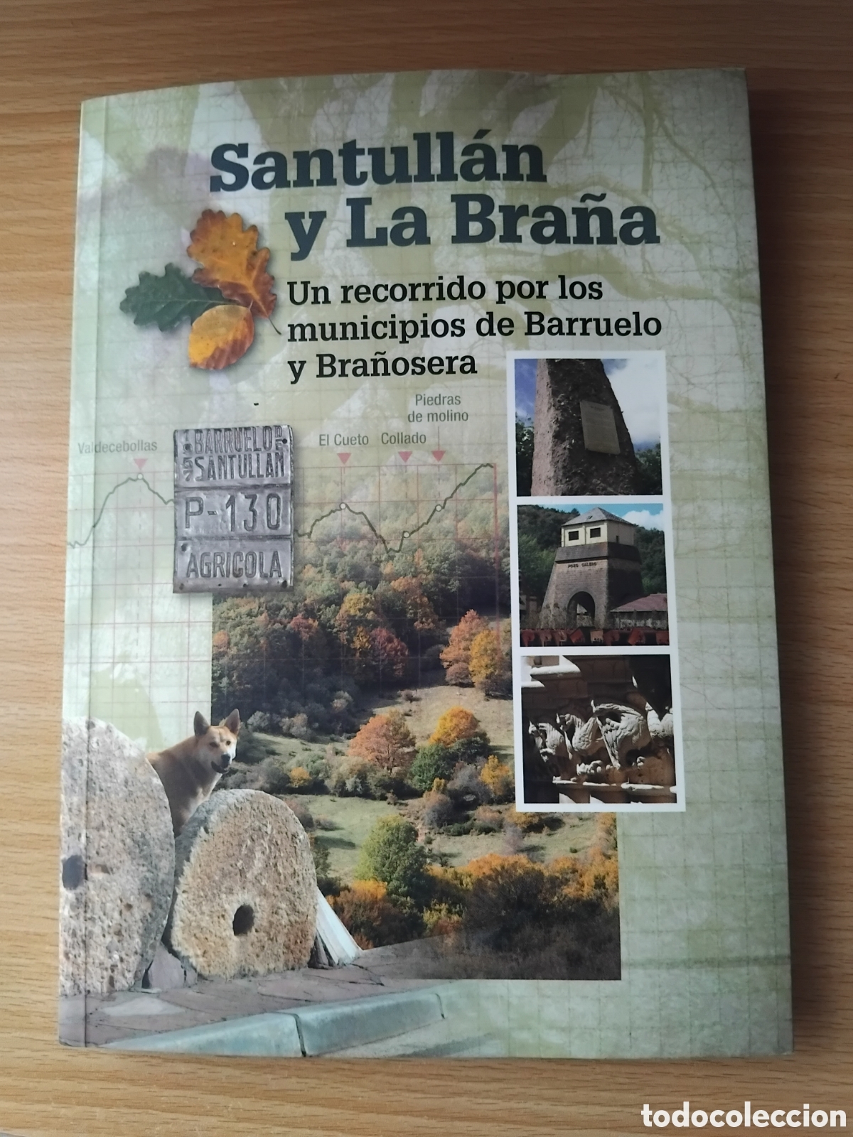 Libros de segunda mano: Santull&aacute;n y La Bra&ntilde;a.Un recorrido por los municipios de Barruelo y Bra&ntilde;osera;VV.AA.;Ays.de Barruelo