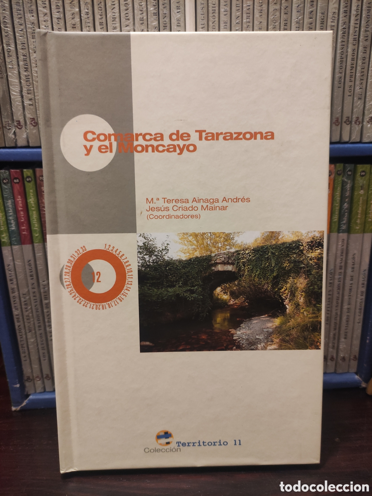 Libros de segunda mano: Comarca de Tarazona y el Moncayo - Maria Teresa Ainaga Andres - Coleccion Territorio 11