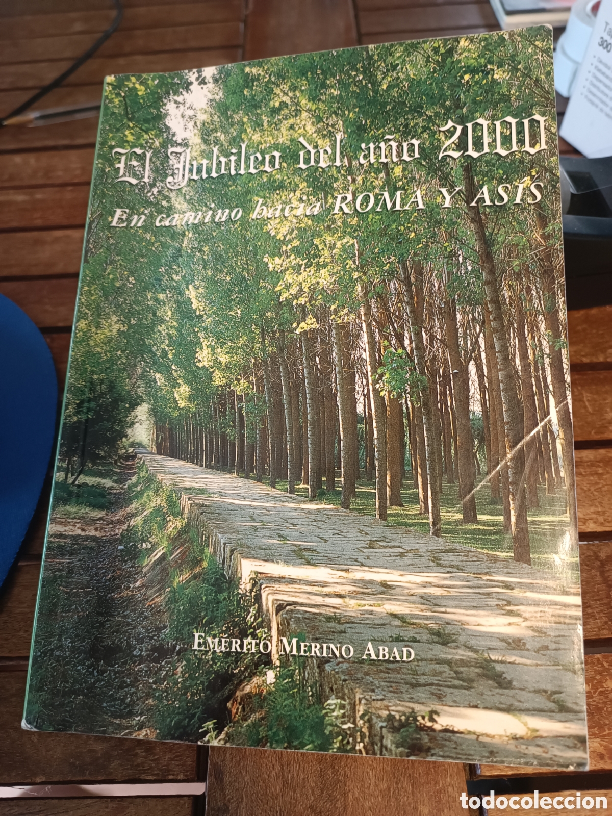 Libros de segunda mano: El jubileo del a&ntilde;o 2000 en camino hacia roma y asis em&eacute;rito Merino abad Madrid 1998 peregrinaci&oacute;n