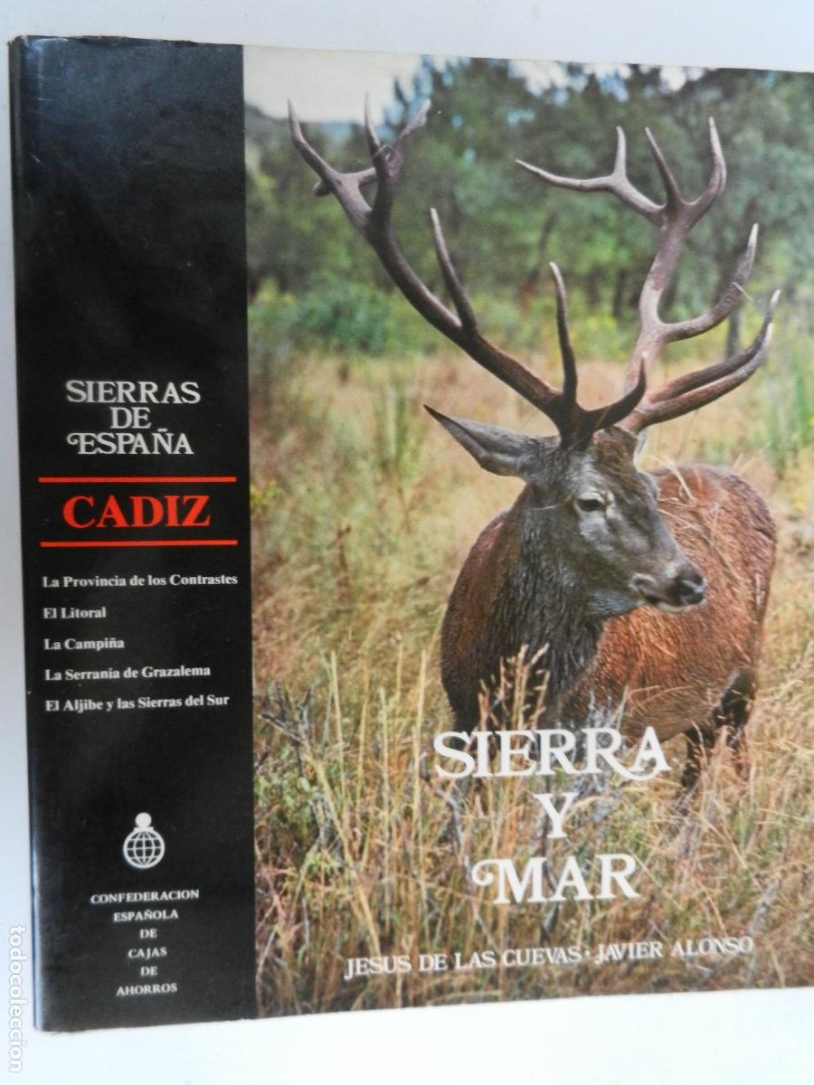 Libros de segunda mano: SIERRA Y MAR - JESUS DE LAS CUEVAS - JAVIER ALONSO - SIERRAS DE ESPA&Ntilde;A - CADIZ -1981