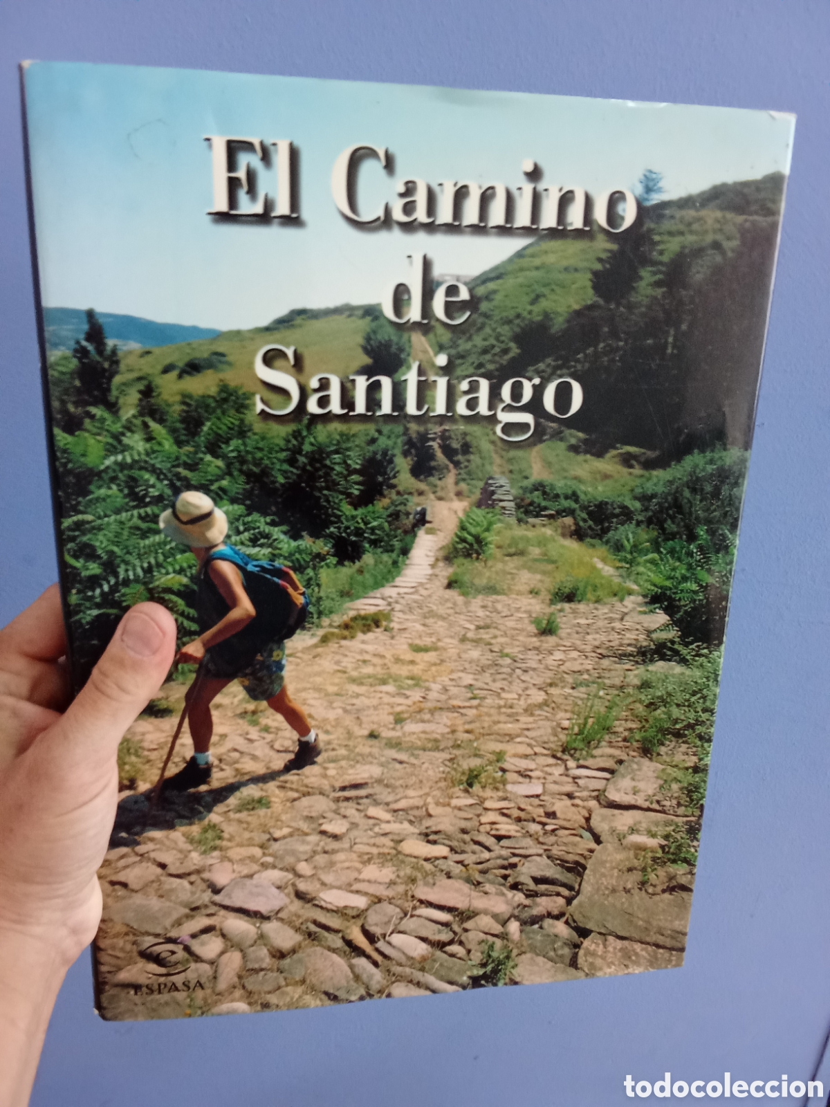 Livros em segunda m&atilde;o: El camino de Santiago - Espasa