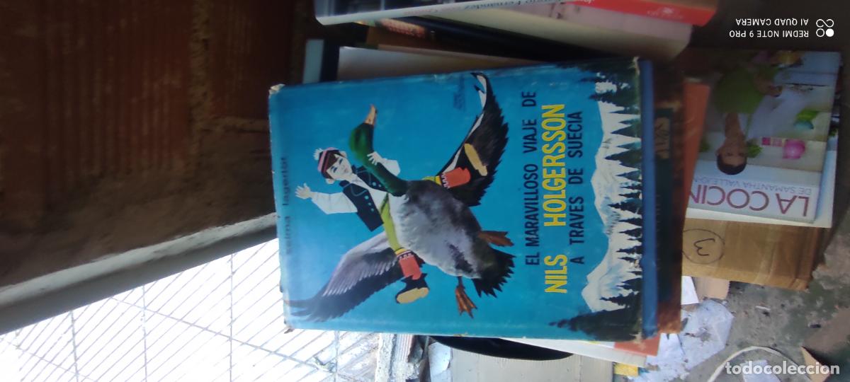 Libros de segunda mano: El maravilloso viaje de Nils Holgersson a trav&eacute;s de Suecia