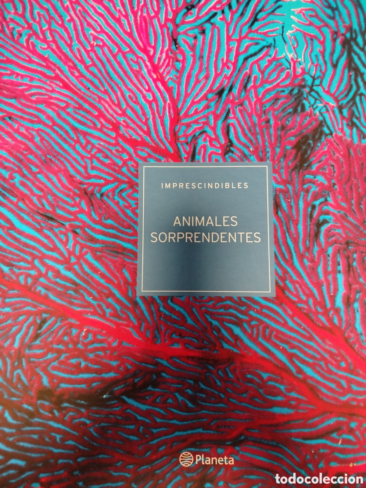 Libros de segunda mano: Libro Imprescindibles Animales Sorprendentes