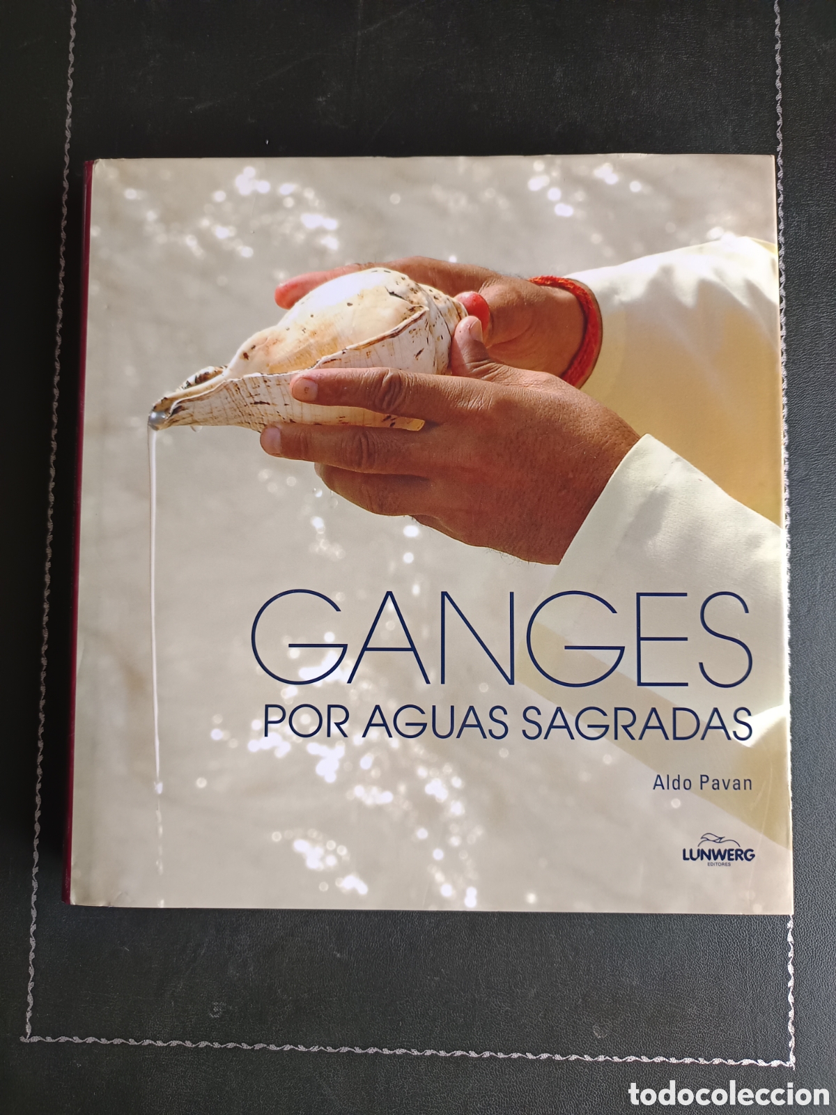 Libri di seconda mano: Ganges. Por aguas sagradas Aldo Pavan.
