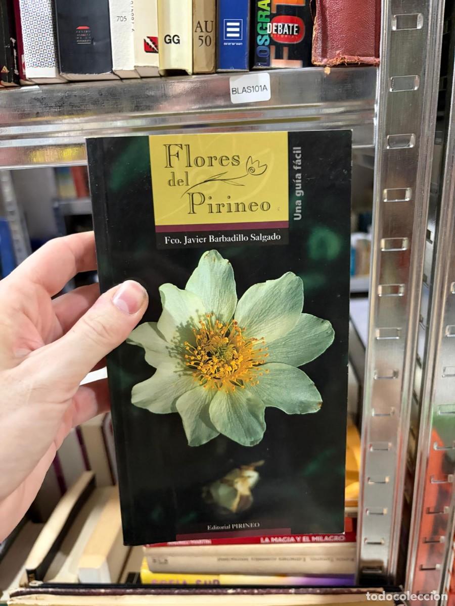 Libros de segunda mano: BLAS101A &mdash; Flores del Pirineo. Una gu&iacute;a f&aacute;cil &mdash; Fco. Javier Barbadillo Salgado &mdash; Editorial Pirineo