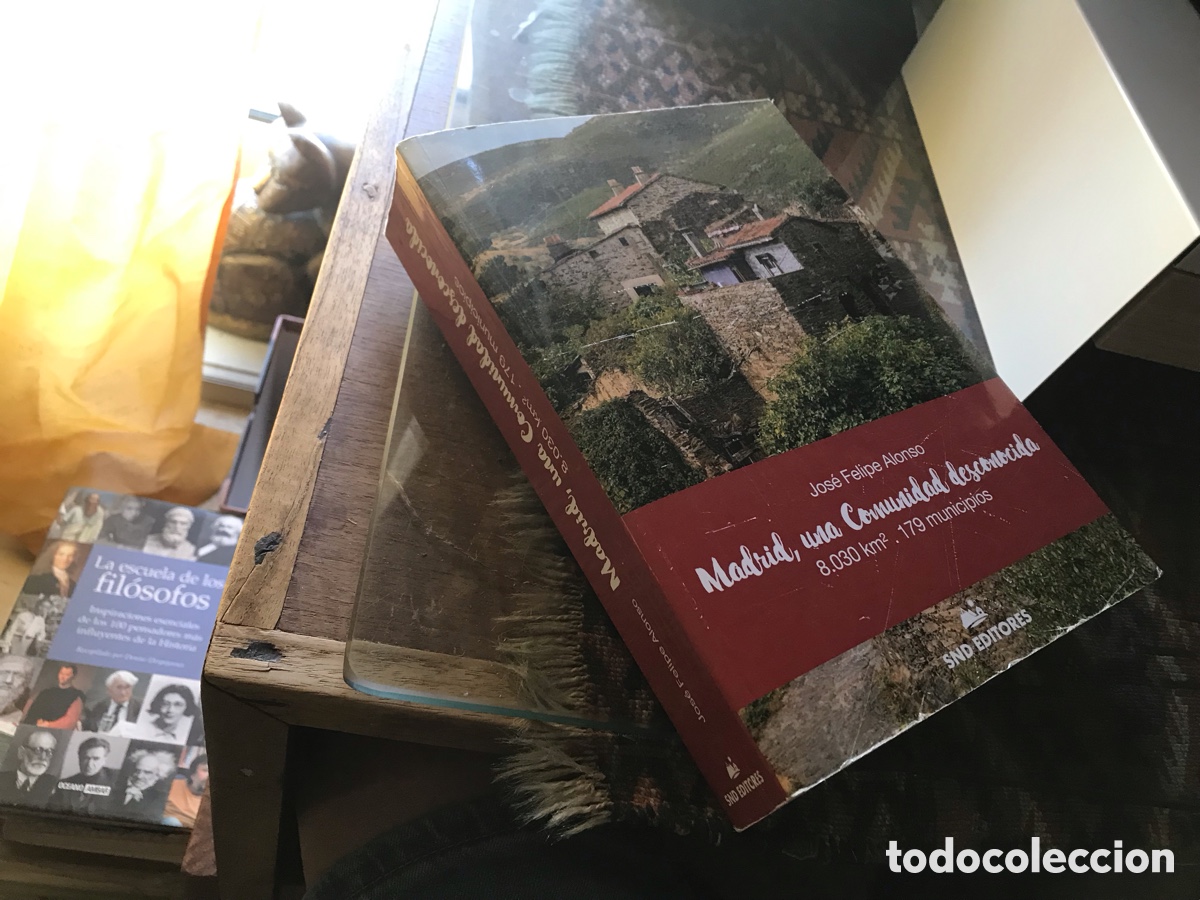 Libros de segunda mano: Madrid, una comunidad desconocida. Jos&eacute; Felipe Alonso. SND editores
