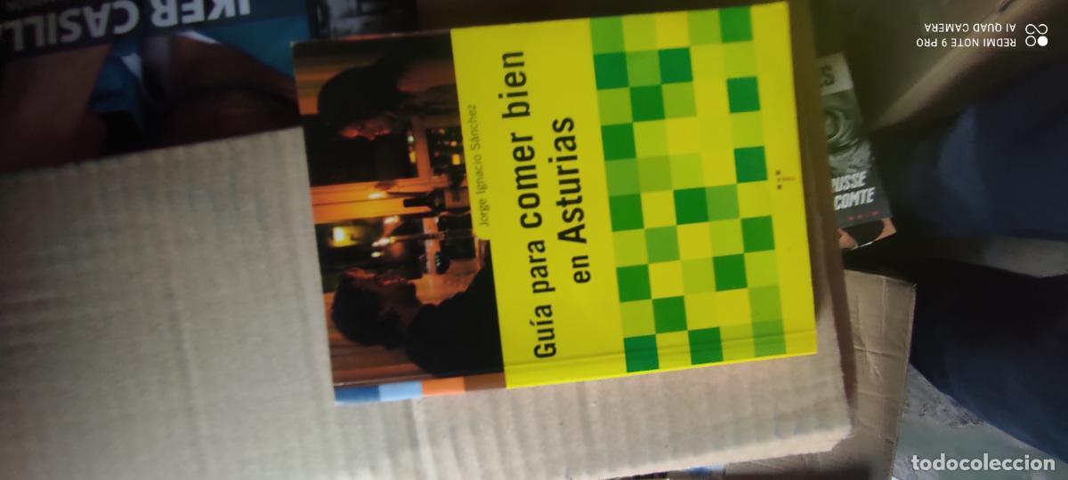 Libros de segunda mano: GUIA PARA COMER BIEN EN ASTURIAS - JORGE IGNACIO SANCHEZ