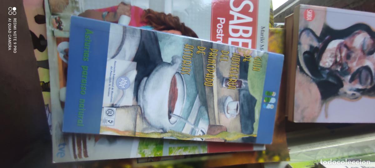 Libros de segunda mano: Gu&iacute;a de Hosteler&iacute;a del Principado de Asturias &ndash; Asociaci&oacute;n Empresarial