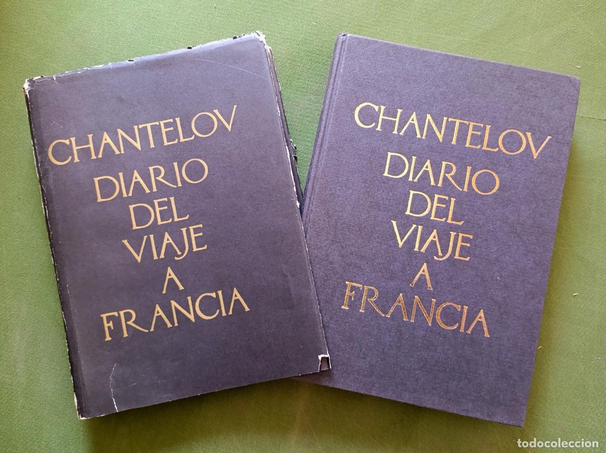 Libros de segunda mano: DIARIO DEL VIAJE DEL CABALLERO BERNINI A FRANCIA POR PAUL FREAT DE CHANTELOU - MADRID - 1986.