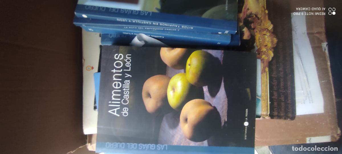 Libri di seconda mano: LAS GUIAS DEL DUERO. ALIMENTOS DE CASTILLA Y LEON. BIBLIOTECA LA POSADA 2005