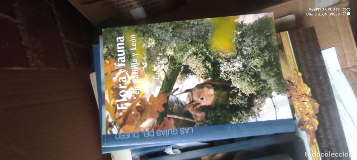 Libri di seconda mano: LAS GU&Iacute;AS DEL DUERO, FLORA Y FAUNA EN CASTILLA Y LE&Oacute;N